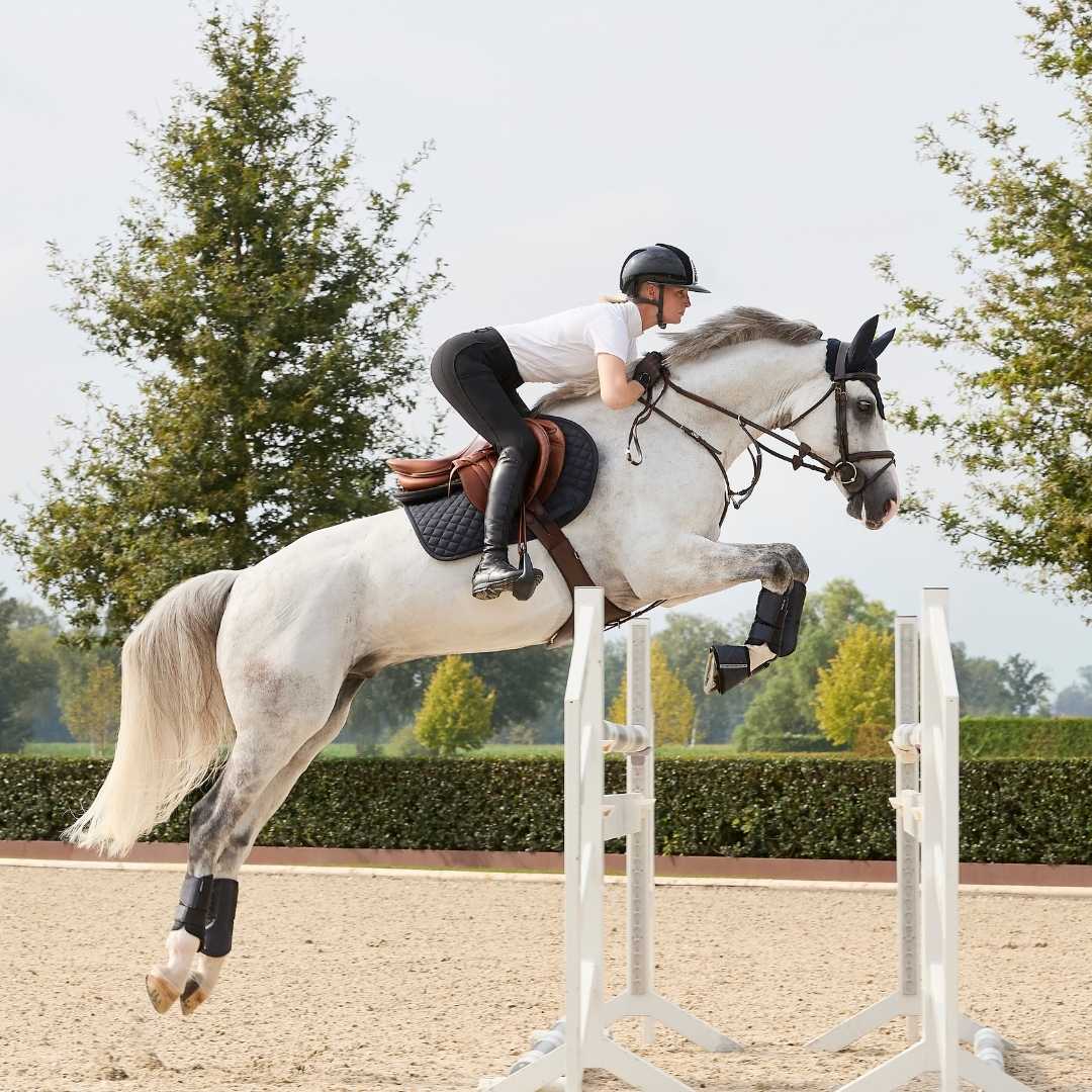 Rider in a white shirt and helmet jumping a white hurdle on a gray horse in an outdoor arena.