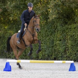Cavaletti blok