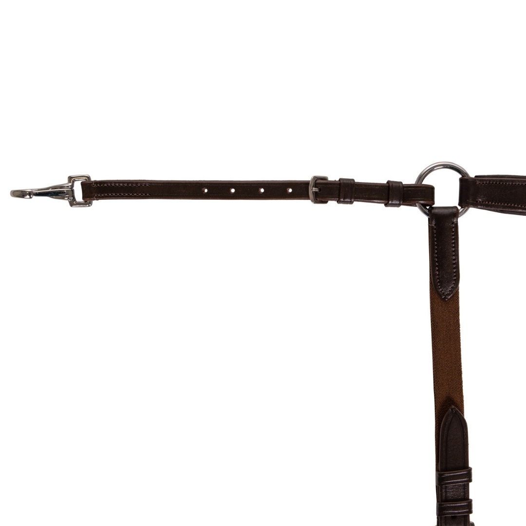 Brown leather horse bridle strap with a silver buckle and D-ring on a white background.