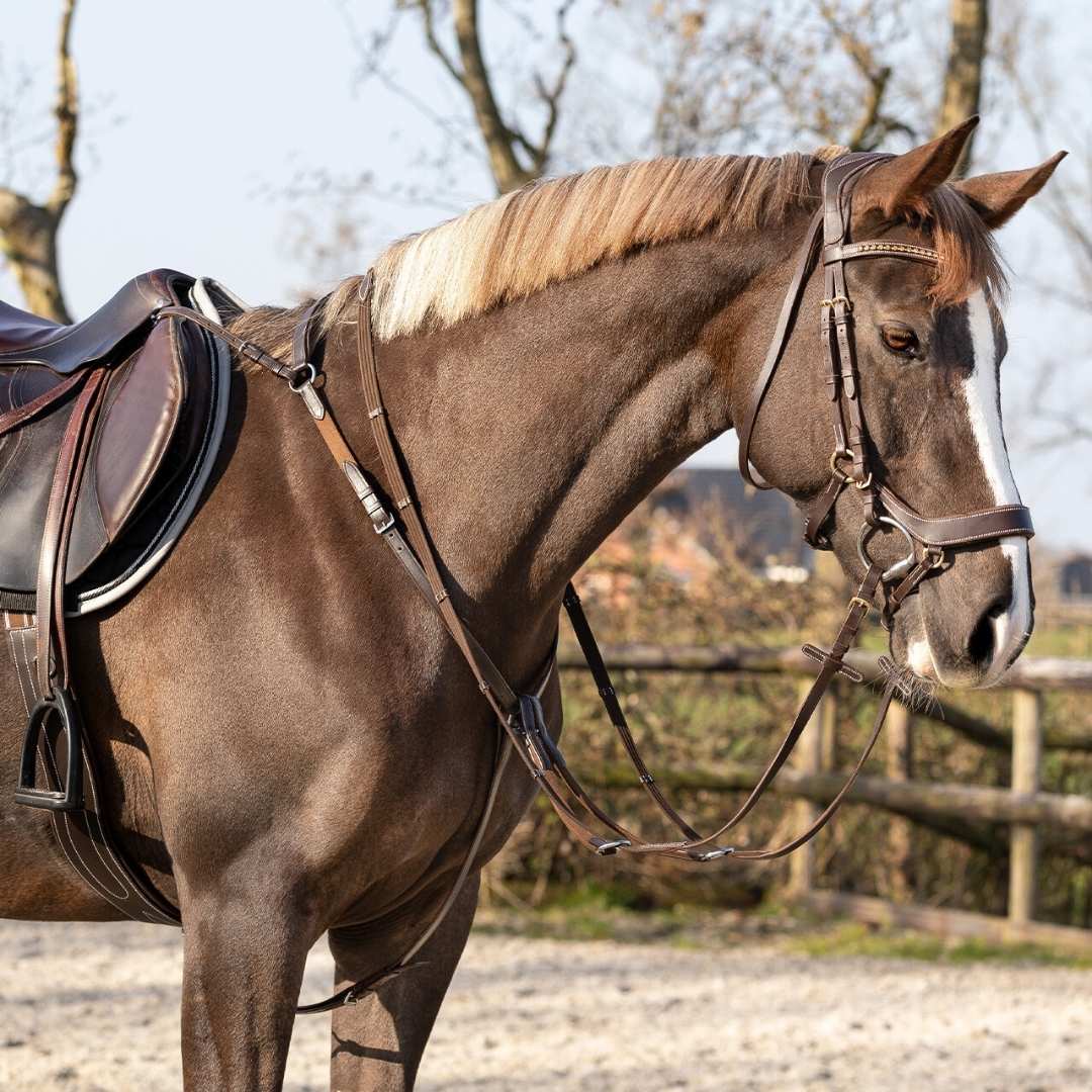 Pršnjak i martingal Basic Pro QHP