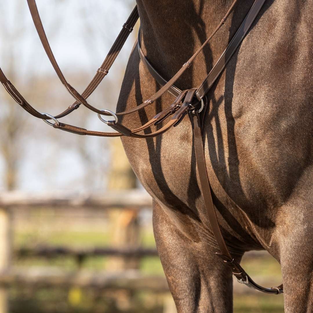 Close-up of a brown horse wearing a bridle and reins, showing leather straps and metal rings.