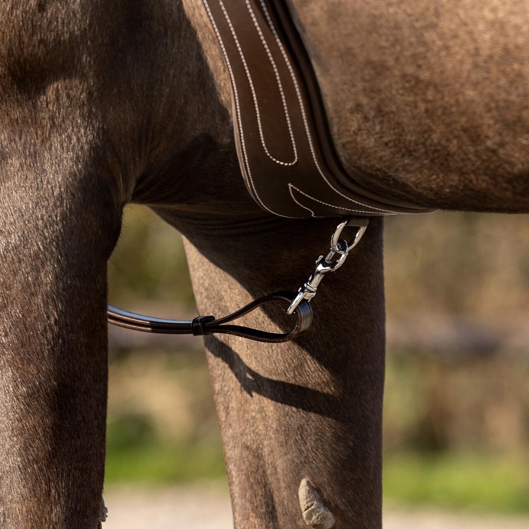 Close-up of a dark brown horse with a leather saddle and bridle, showing the reins hanging near the flank outdoors