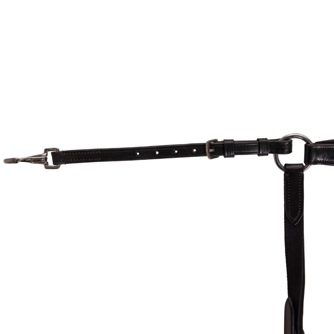 Black leather strap with metal snap clip and D-ring, part of a leash or harness