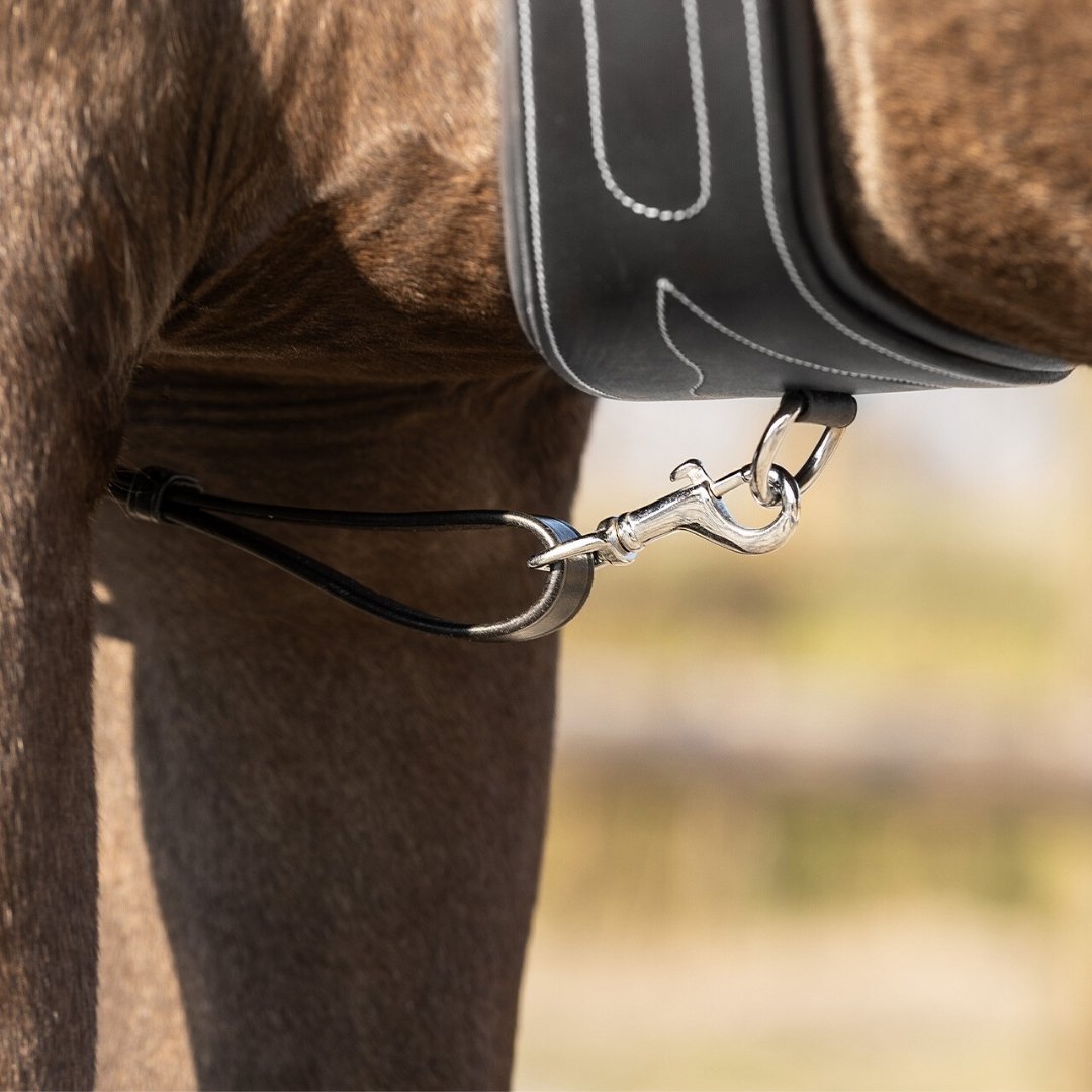 Close-up of a horse's bridle with a silver bit attached to black reins under a saddle pad future.