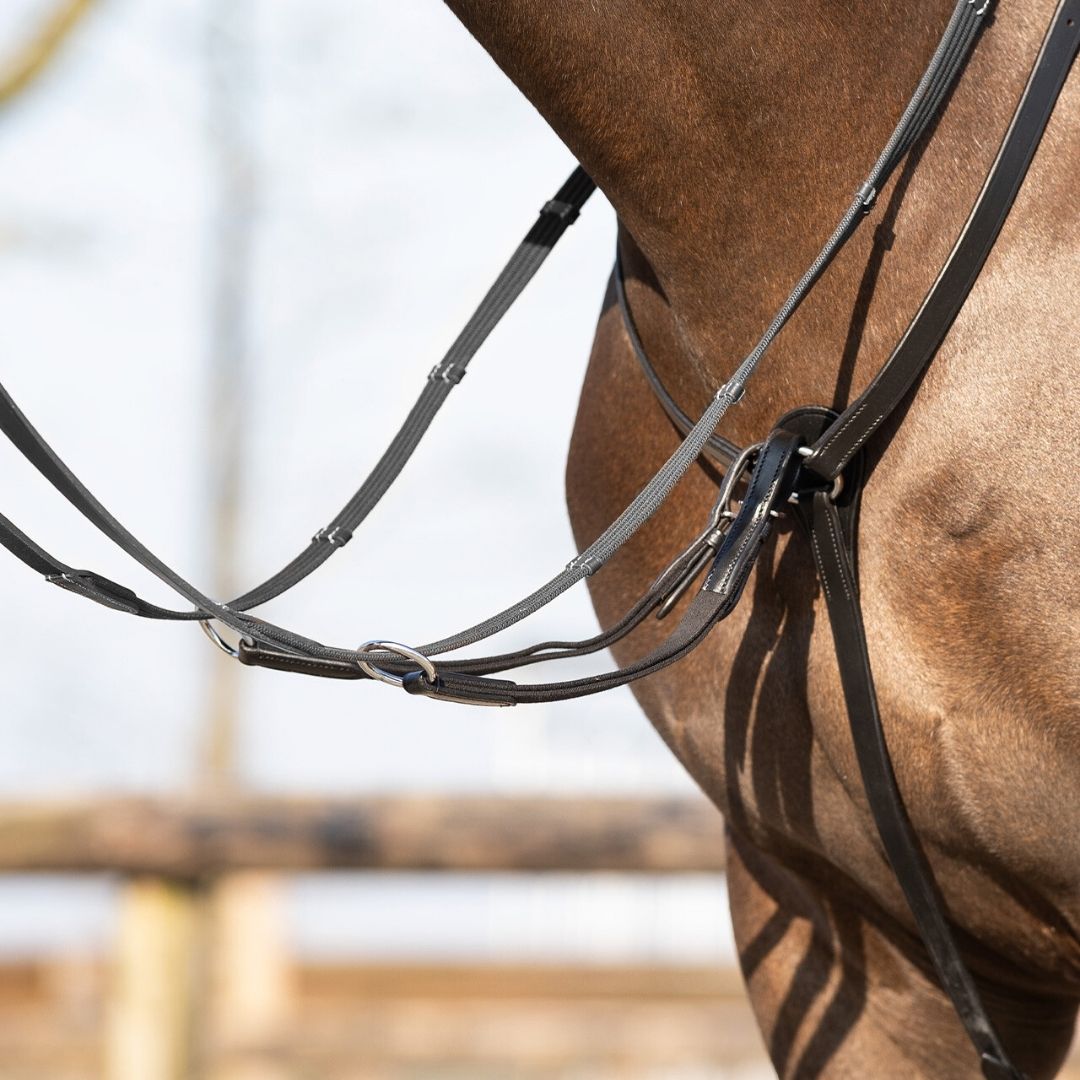 Close-up of black leather horse bridle and reins with metal bit on a brown horse outdoors