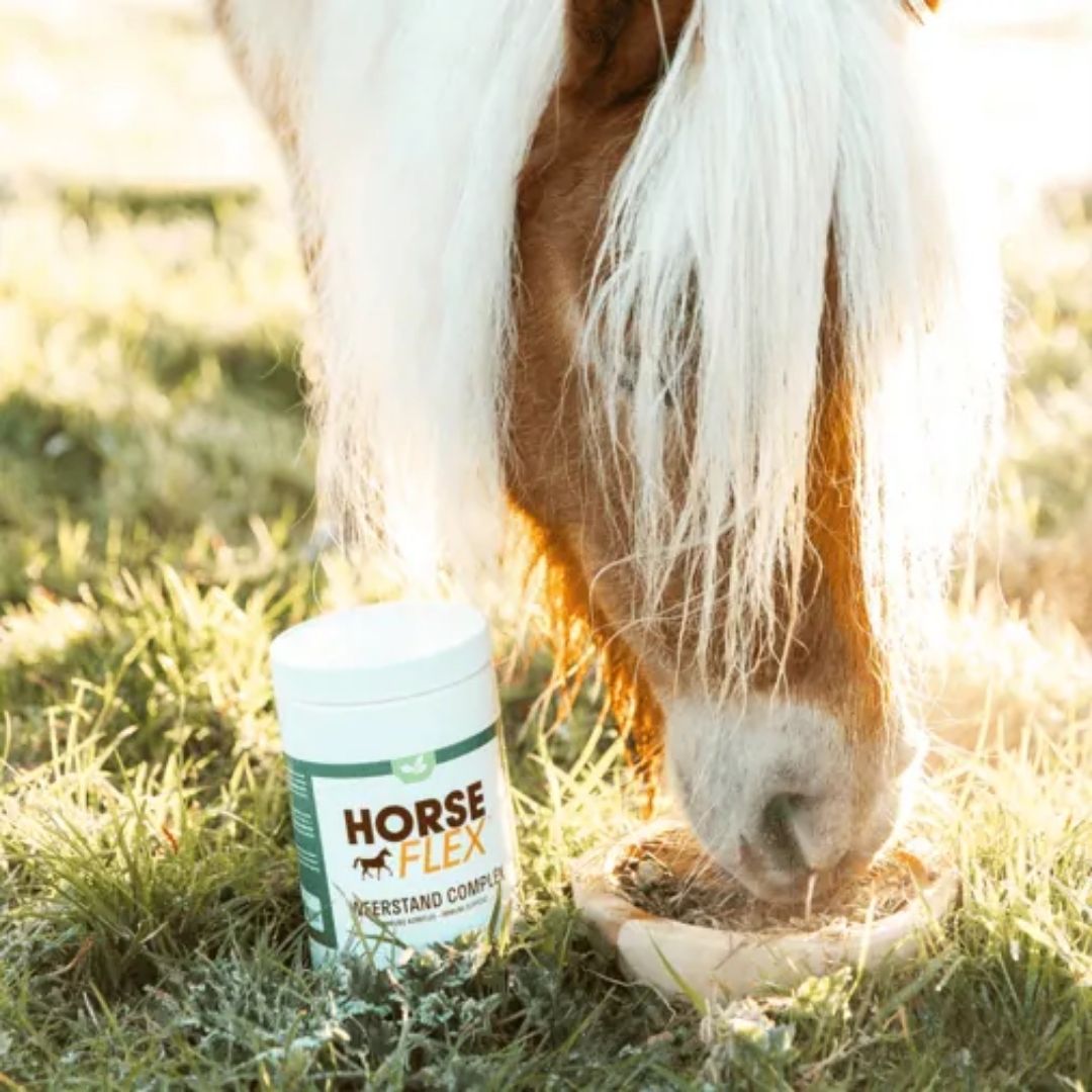 Immune Support 550g Horseflex