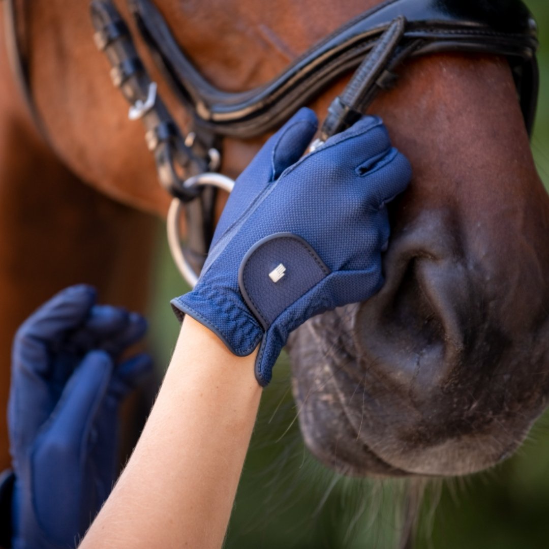 Close-up of a person in blue riding gloves fastening a bridle on a brown horse's head, adjusting reins before riding.