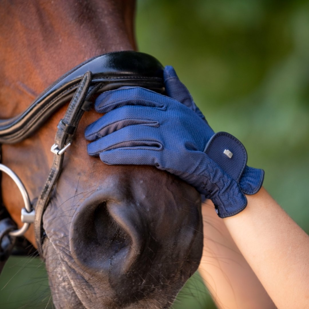 Close-up of a rider's blue-gloved hand adjusting a horse's bridle behind the ear.