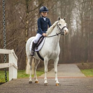 Pony SET sedlo + uzda