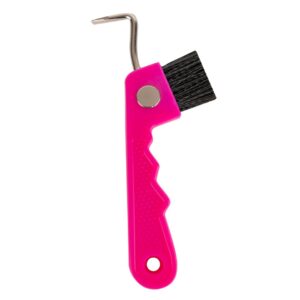 Kopitni čistač s magnetom