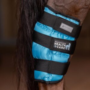 Bandaža za hlađenje skočnog zgloba Health + Care