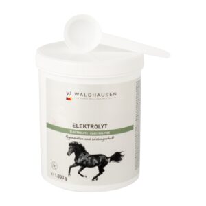 Elektroliti u prahu
