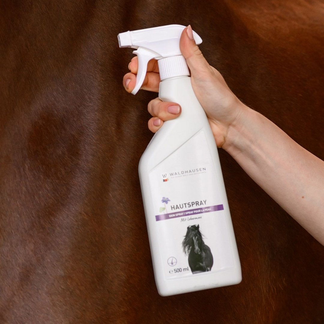 Hand gripping a white trigger spray bottle labeled Hautspray, held against a dark brown horse coat.