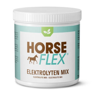 Electrolyte mix 1000g Horseflex