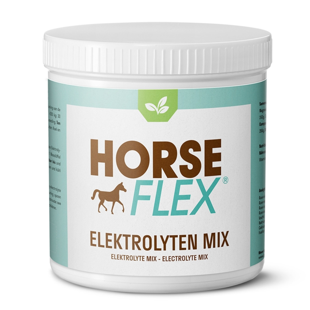 Electrolyte mix 1000g Horseflex