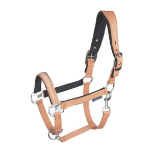 Ular Athletic