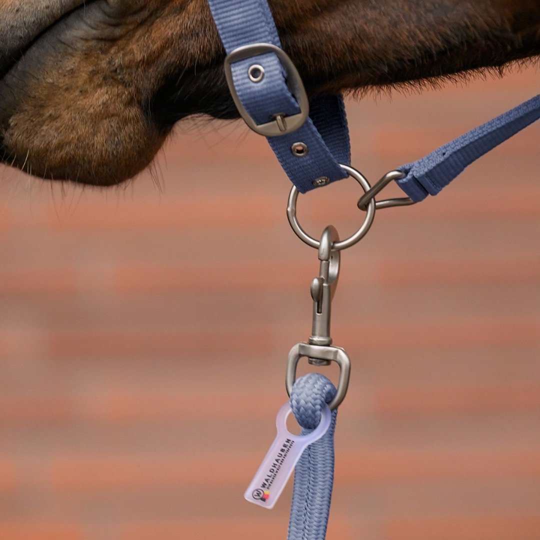 Ular i povodac Velvet