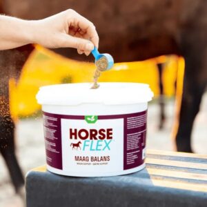 Gastro Support 800g Horseflex