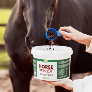 Muscle Power Complex 1400g Horseflex