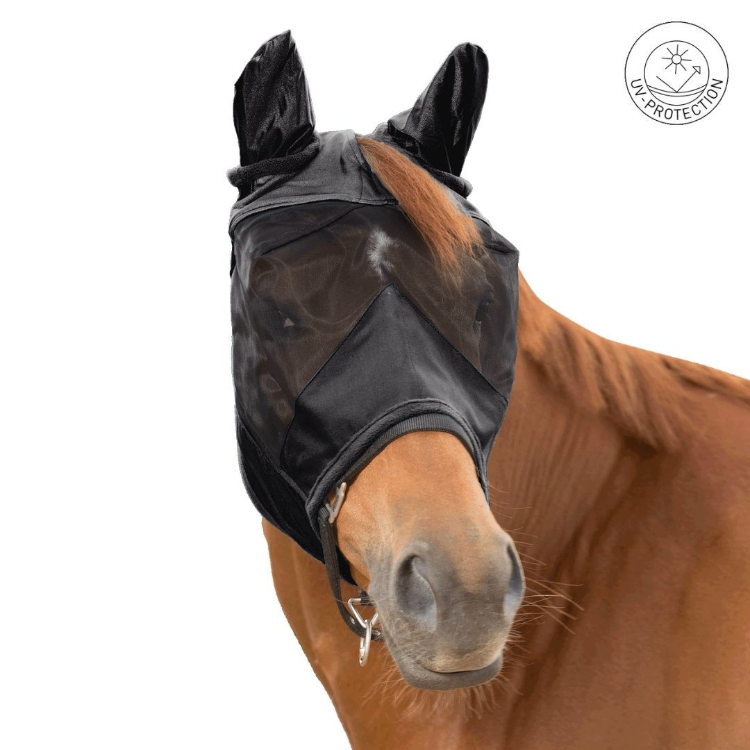 Horse wearing a black fly mask that covers its eyes and ears, for insect and sun protection.