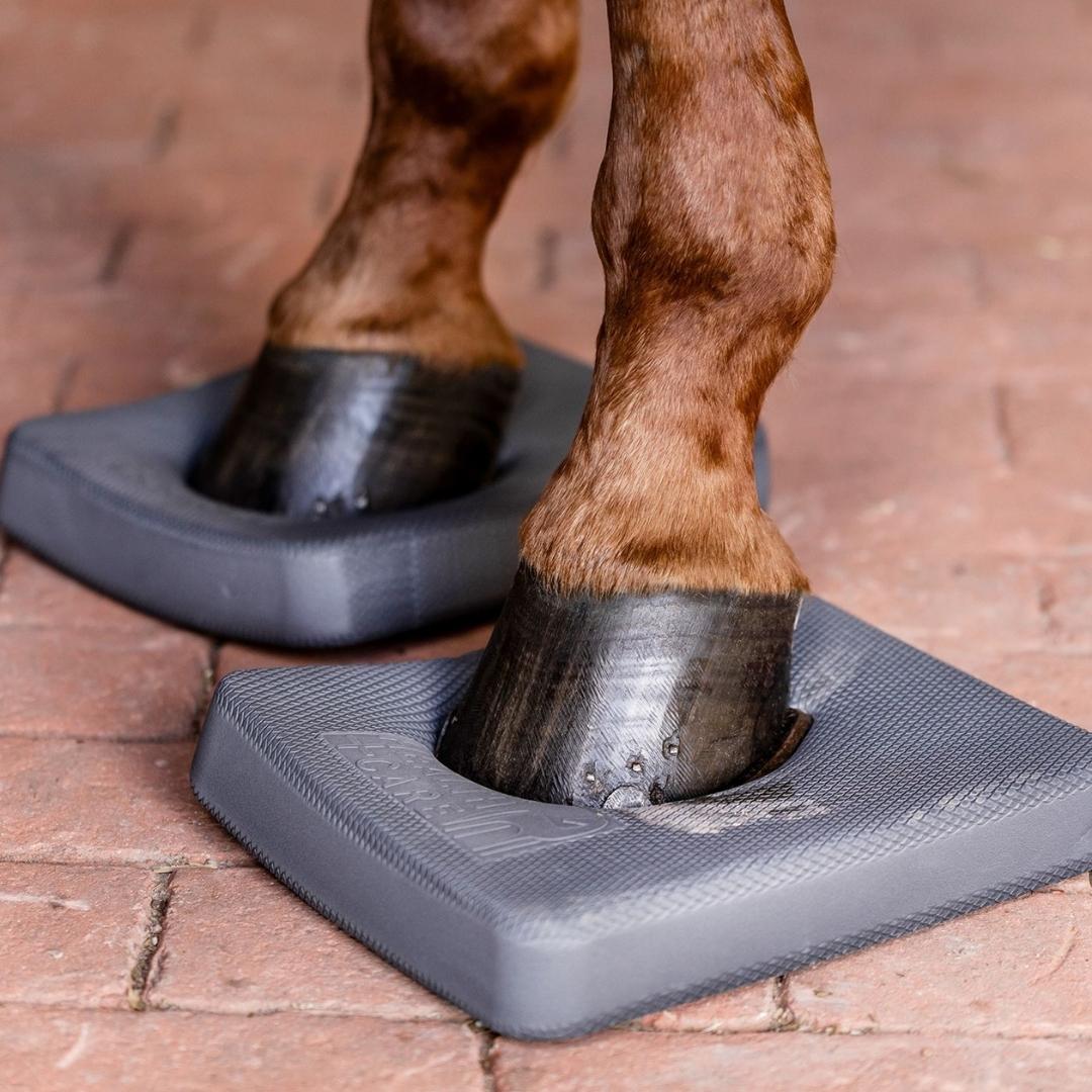 Health + Care balance pads