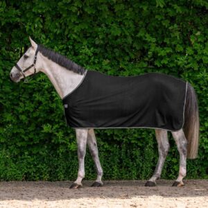 Gray horse wearing a black blanket (rug) from neck to hindquarters, standing on dirt with a dense green hedge behind.