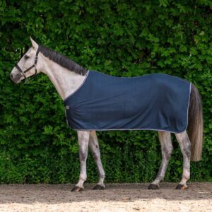 Gray horse wearing a navy turnout rug/blanket, standing on dirt in front of a leafy green hedge.