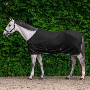 Gray horse standing in a black blanket outdoors, with a dense green hedge in the background.