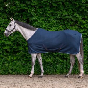 Gray horse in a navy turnout blanket standing to the left beside a leafy green hedge, head turned slightly toward the camera.