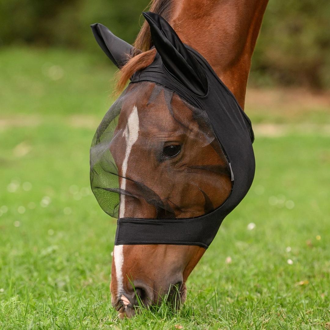 Brown horse grazing in a green field wearing a black mesh fly mask over its face and ears.