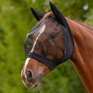 Brown horse wearing a black mesh fly mask over its eyes outdoors, protecting from insects.
