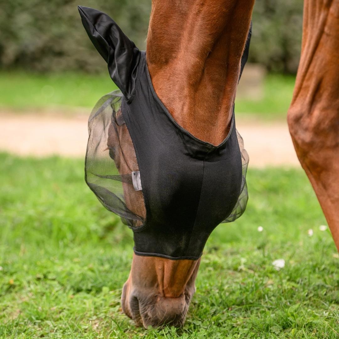 Close-up of a horse grazing in a grassy field wearing a black fly rug with mesh panels on its body.