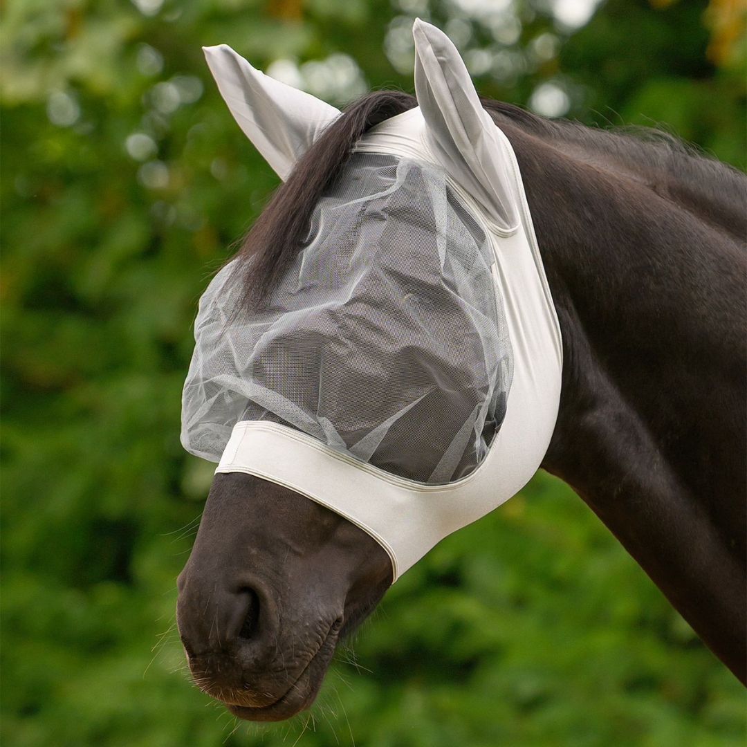 Horse wearing a white mesh fly mask outdoors with a green, blurred background.