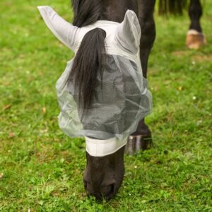 Pony grazing on green grass with a light mesh fly sheet draped over its back and long dark mane visible in the foreground.