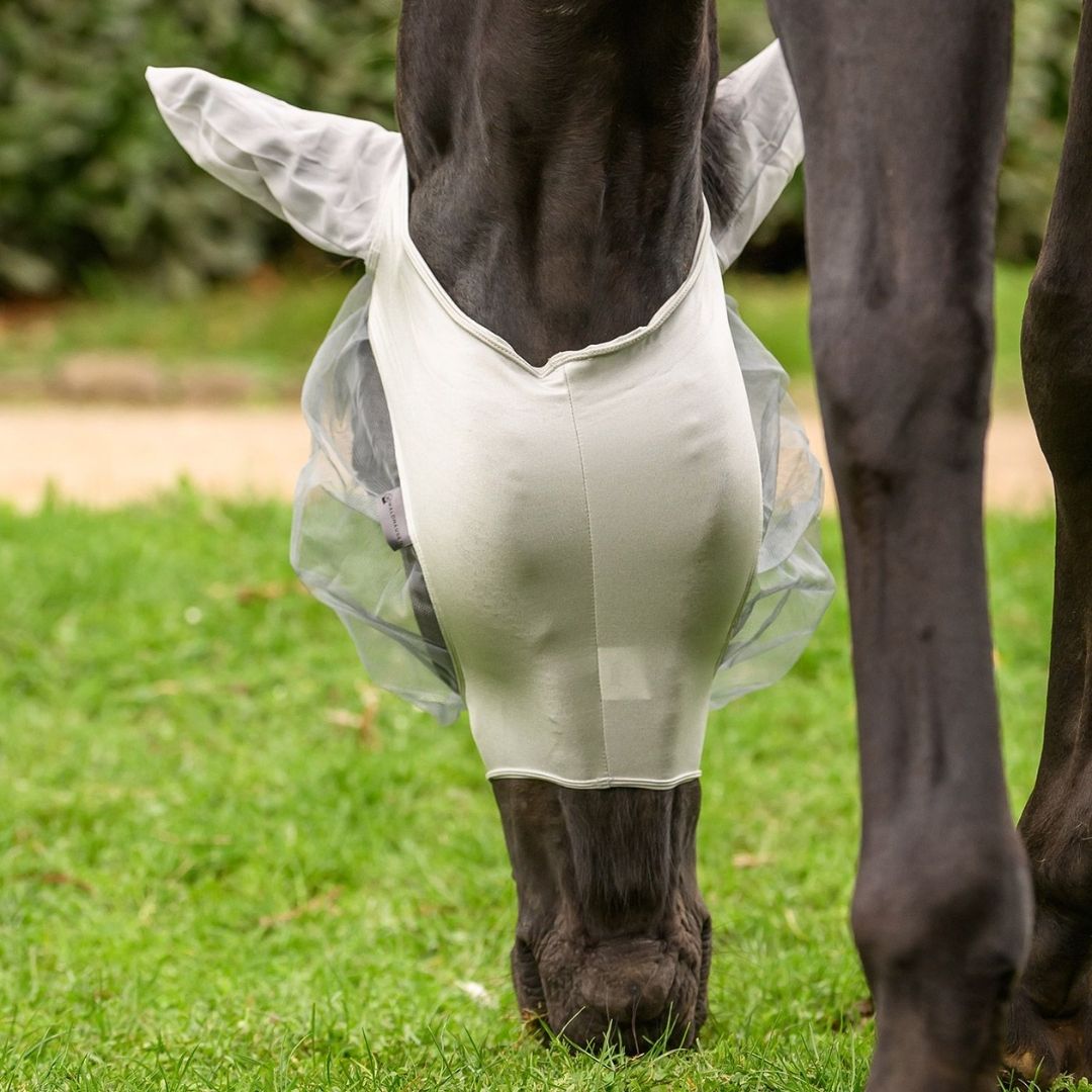 Horse with a white protective leg wrap on its front leg grazing on green grass.
