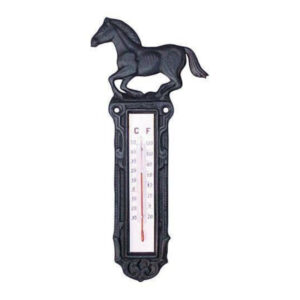 Termometar Iron Horse
