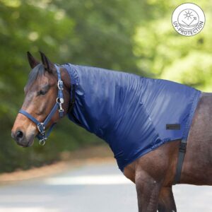 Bay horse wearing a blue neck-covering turnout rug outdoors, standing on a path.
