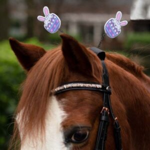 Ukras za potiljni dio Easter