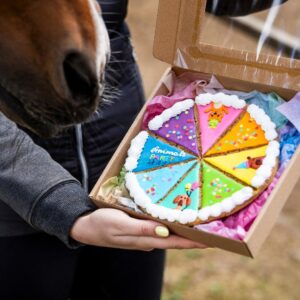 Close-up view of a dog's nose next to a box holding a colorful, animal-themed cookies-and-cream cake arranged in pie-slices with icing borders and pastel toppings.
