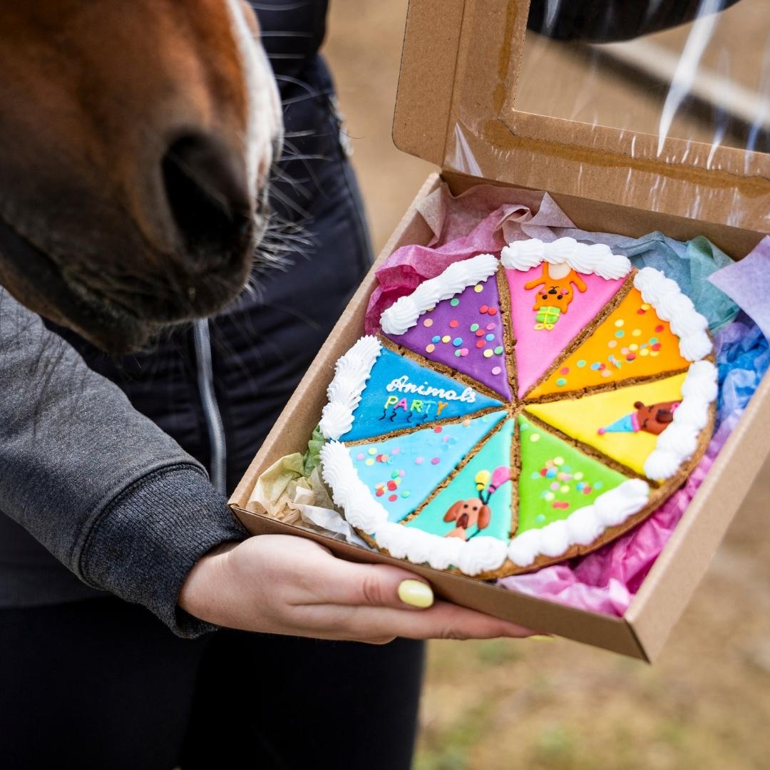 Close-up view of a dog's nose next to a box holding a colorful, animal-themed cookies-and-cream cake arranged in pie-slices with icing borders and pastel toppings.