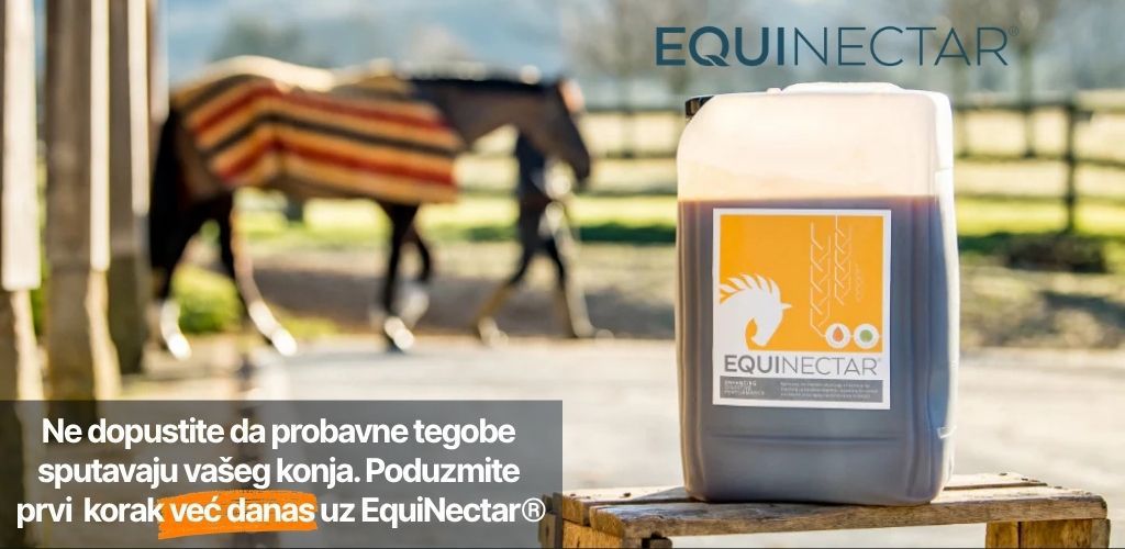 Container of EquiNectar horse supplement on a wooden surface with a blurred horse in the background; Slovenian ad copy urging to try EquiNectar today: 'Ne dopustite da probavne tegobe sputavaju vašeg konja. Poduzmite prvi korak već danas uz EquiNectar®.'