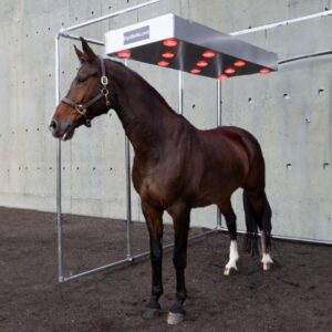 Solarij Equibene S11