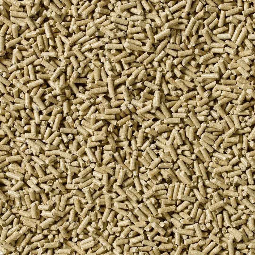 Close-up of beige cylindrical wood pellets for heating.